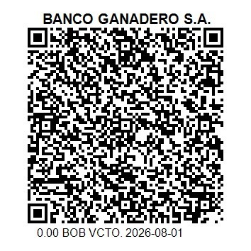 QR de pago